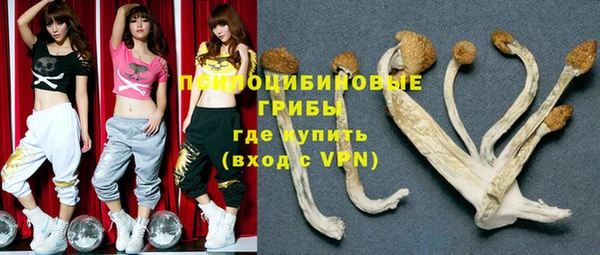 MDMA Premium VHQ Богородицк