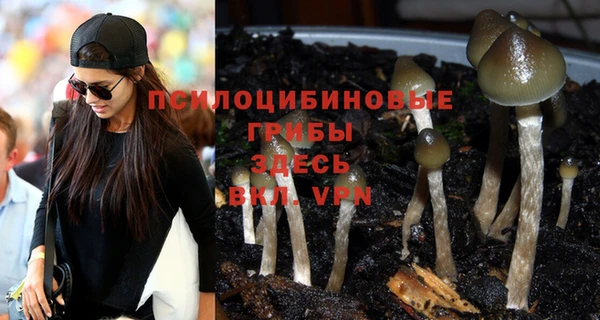 MDMA Premium VHQ Богородицк