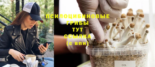 МДМА Богданович